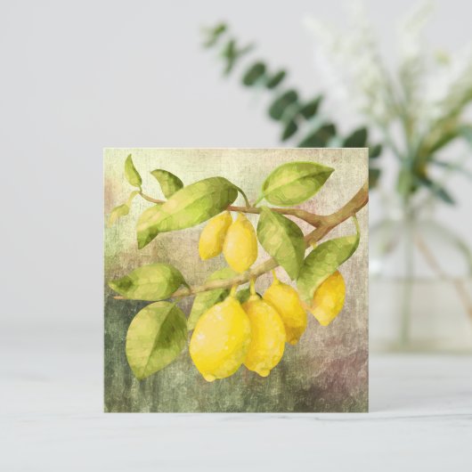 Lemons schilderen (Staand voorkant)