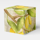 Lemons schilderen bedankdoosjes (Voorkant Zijde)