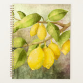 Lemons schilderen planner (Voorkant)