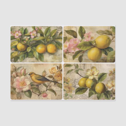 Lemons Tissuepapier (Voorkant)