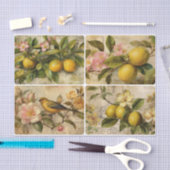 Lemons Tissuepapier (Craft)