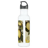 Lemons waterfles (Achterkant)