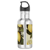 Lemons waterfles (Achterkant)