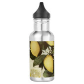 Lemons waterfles (Links)