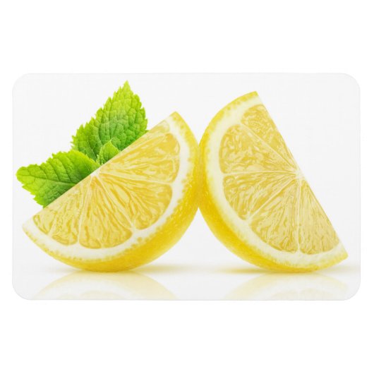 Lemonsegmenten Magneet (Horizontaal)