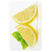 Lemonsegmenten Magneet (Verticaal)