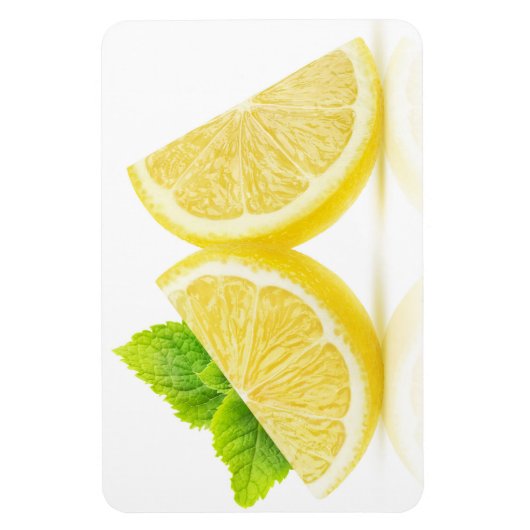 Lemonsegmenten Magneet (Verticaal)