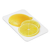 Lemonvruchten Magneet (Rechterzijde)