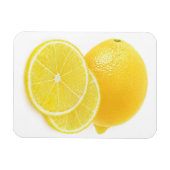 Lemonvruchten Magneet (Horizontaal)