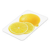 Lemonvruchten Magneet (Linkerzijde)