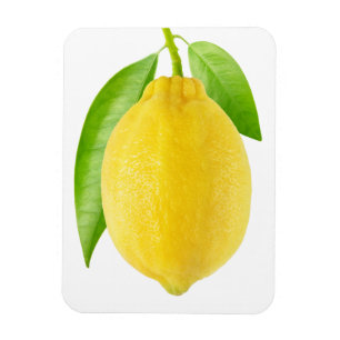 Lemonvruchten Magneet