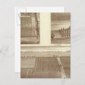 Lemoore ranches briefkaart (Voorkant / Achterkant)