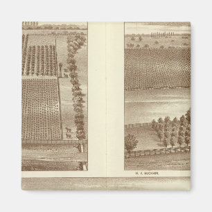 Lemoore ranches magneet