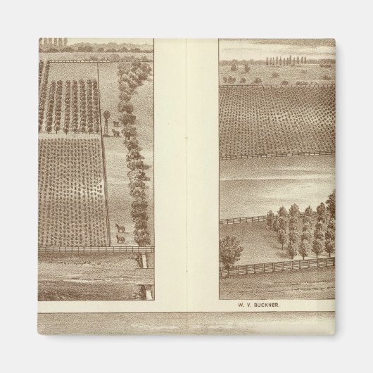 Lemoore ranches magneet (Voorkant)