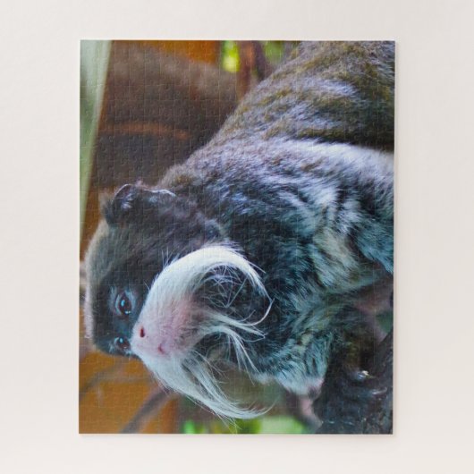 L'empereur Tamarins Monkey. Jigsaw Puzzle (Vertical)