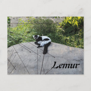 Lemur # 2 briefkaart