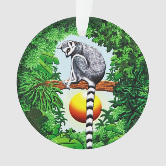 Lémur de Madagascar (devant)