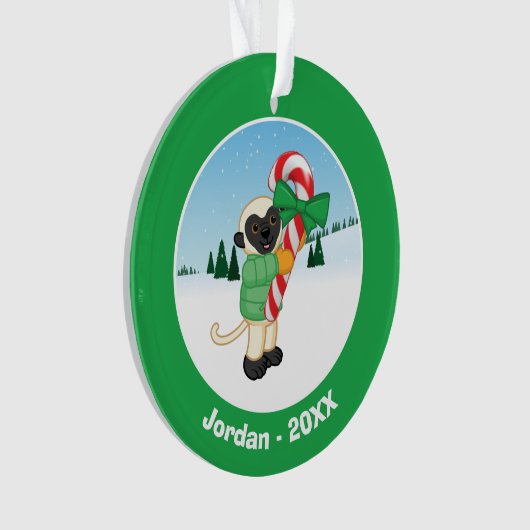 Lémur de Sifaka (devant)