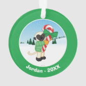 Lémur de Sifaka (dos)