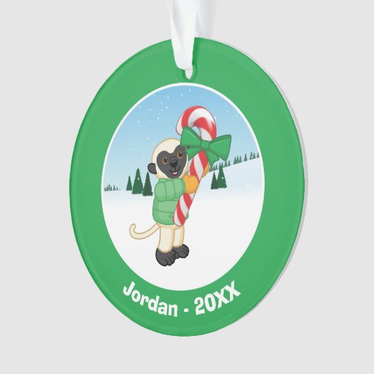 Lémur de Sifaka (devant)