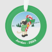 Lémur de Sifaka (devant)