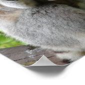 Lemur-fotoafdrukken Poster (Hoek)