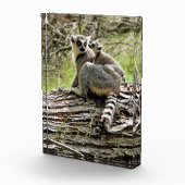 LEMUR FOTOBLOKKEN (Rechts)
