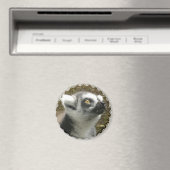Lemur fotomagneet magneet (Insitu (Vaatwasser))