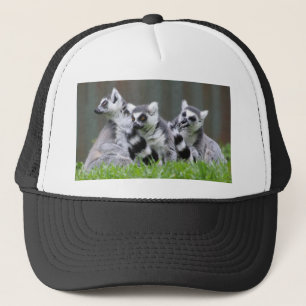 Lemur Gifts en T - shirts Trucker Pet