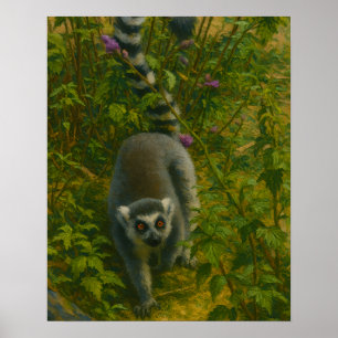 Lemur in Bloom – Ringstaartverkenner Poster