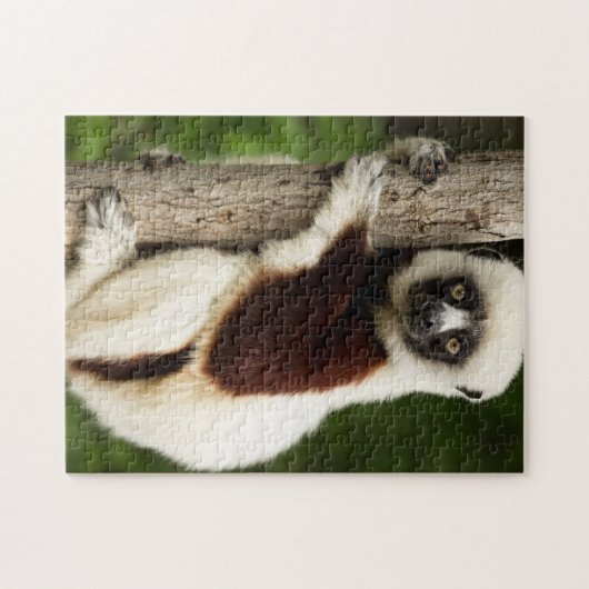 LEMUR JIGSAW PUZZLE (Horizontal)