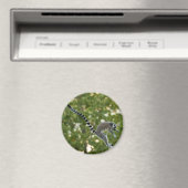 Lemur Jump Magnet Magneet (Insitu (Vaatwasser))