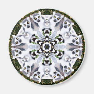 Lemur Kaleidoscope Magneet