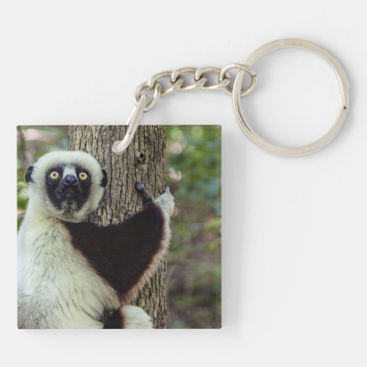 Lemur knuffelt een boom sleutelhanger (Achterkant)