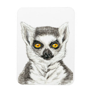 Lemur Magneet