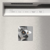 Lemur Magnet Magneet (Insitu (Vaatwasser))