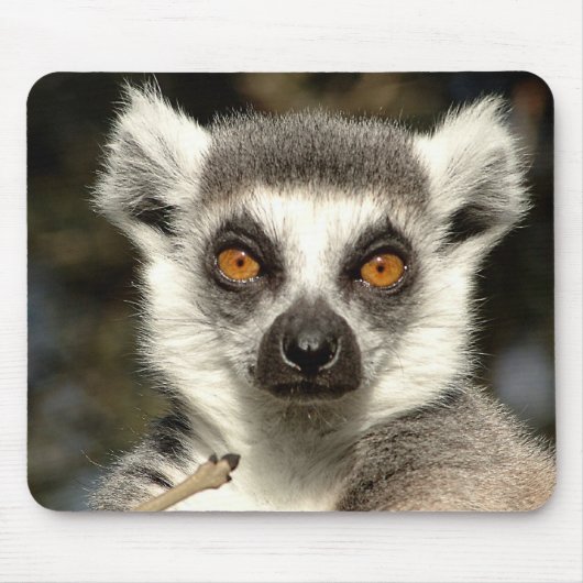 Lemur Mousepad Muismat (Voorkant)