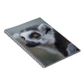 Lemur Notitieboek (Rechterzijde)