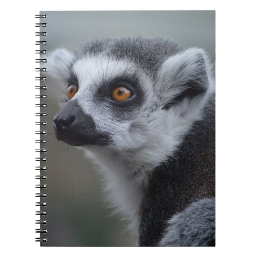 Lemur Notitieboek (Voorkant)