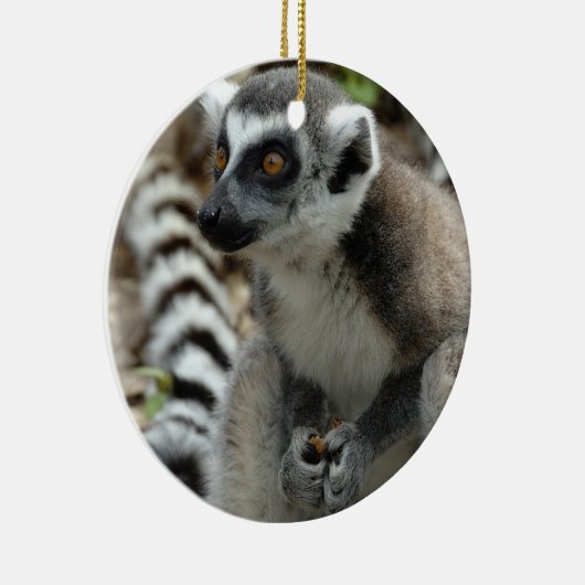 Lemur Ornament (Rechts)