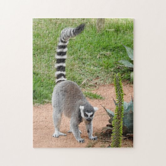 Lemur Puzzle Legpuzzel (Verticaal)