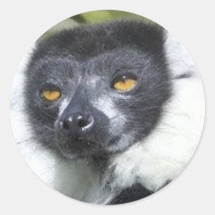 Lemur Stickers