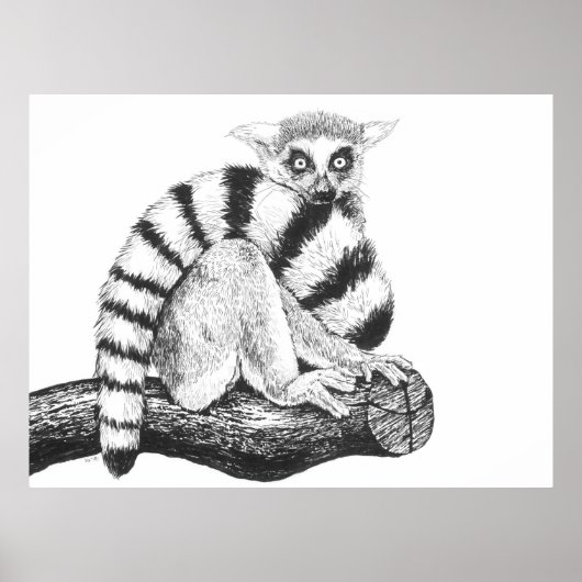 Lemur tekening poster (Voorkant)