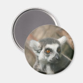 lemura magneet (Voorkant / Achterkant)