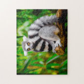 Lemuren. Legpuzzel (Verticaal)