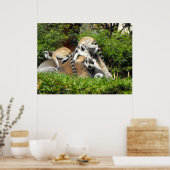 Lemuren met gespannen baby poster (Keuken)