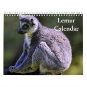 Lemurenkalender 2025 kalender (Hoes)