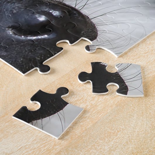 Lémurienne feuilletée noire et blanche, Puzzle (Côté)