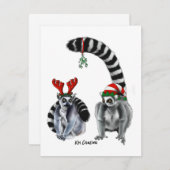 Lémuriens à queue annelée - carte de vacances (Devant / Derrière)