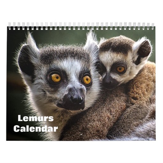 Lemurs 2025 kalender (Hoes)